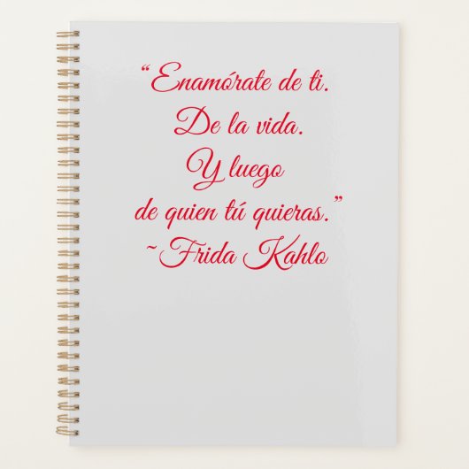 フリダインスパイアプランナー プランナー手帳 (正面)