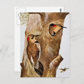 フリッカーバードヴィンテージ写真 ポストカード (正面/裏面)