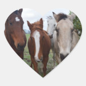 フリッキーな髪:楽しい馬のトラブル、 ハートシール (正面)