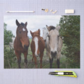 フリッキーな髪：楽しい馬のトラブル、 薄葉紙 (クラフト)