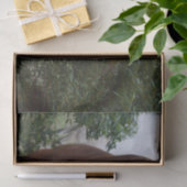 フリッキーな髪：楽しい馬のトラブル、 薄葉紙 (ギフト)