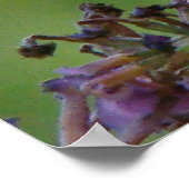 フリッチャリ蝶の花の新しい作成ポスター ポスター (角)