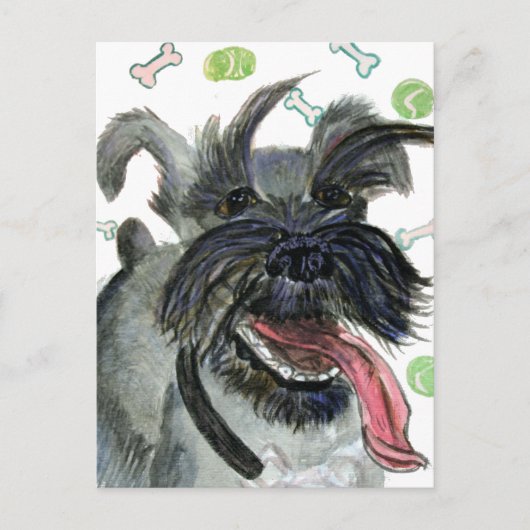 フリッツ ポストカード (正面)