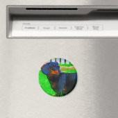 フリッツ マグネット (インサイチュ (食洗機))