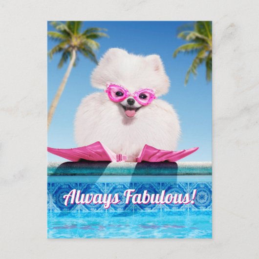 フリッパーのプールサイド犬 インビテーションポストカード (正面)