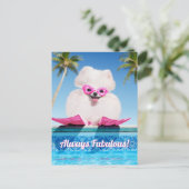 フリッパーのプールサイド犬 インビテーションポストカード (スタンド正面)