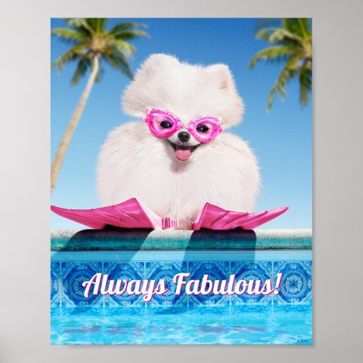フリッパーの付いたプールサイド犬 ポスター (正面)