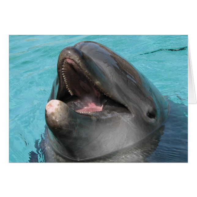 フリッパーカード (正面横)