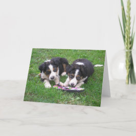 フリップフロップおもしろい! カード