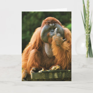 フリップMonkey-Orangutan -誕生日 カード