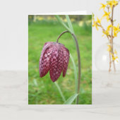 フリティラリーフラワーノートカード カード (黄色い花)