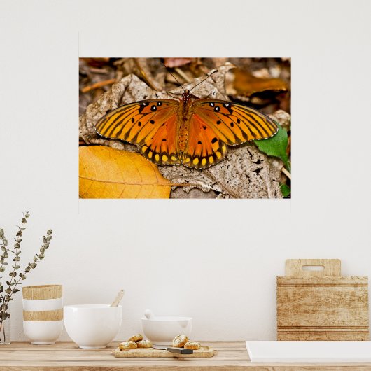 フリティラリー湾バタフライ温暖翼のポスター ポスター (キッチン)