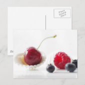 フリュッテデソマーススティルベン ポストカード (正面/裏面)