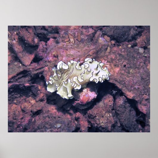 フリリーヌディブランチ ポスター (正面)