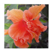 フリルのオレンジ色の花 タイル (正面)