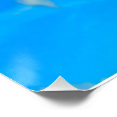 フリルの首を付けたトカゲ ポスター (コーナー)