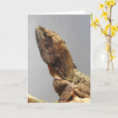 フリルトカゲのグリーティングカード カード (黄色い花)