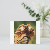 フリルトカゲ ポストカード (スタンド正面)