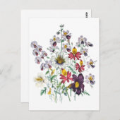 フリンゴフラワーとベルベットのトランペットの花 ポストカード (正面/裏面)