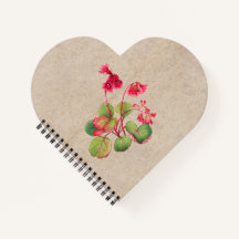 フリンジのガラックスの花