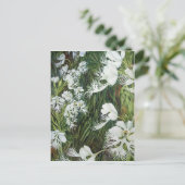 フリンジドプレーリーラン ポストカード (スタンド正面)