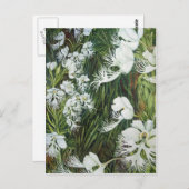 フリンジドプレーリーラン ポストカード (正面/裏面)