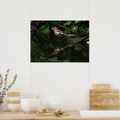 フリンジラケルベツ ポスター (キッチン)