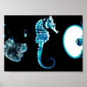 フリンジ記号 ポスター (正面)