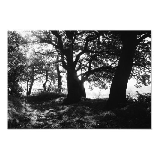 フリンジ（写真） フォトプリント            (正面)