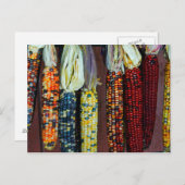 フリントカラフルまたはインディアンコーン ポストカード (正面/裏面)