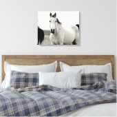 フリント・ヒルズの白黒馬 キャンバスプリント (インサイチュ (寝室))