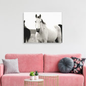 フリント・ヒルズの白黒馬 キャンバスプリント (インサイチュ (リビング))
