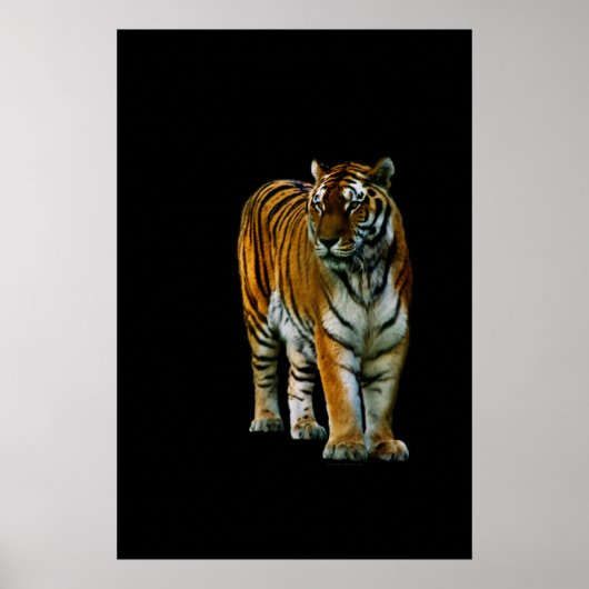 フリンプリント ポスター (正面)