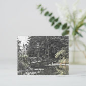 フリーアーパークポストカード#14 ポストカード (スタンド正面)