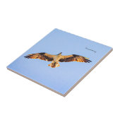 フリーオスプレイ美術 タイル (側面)