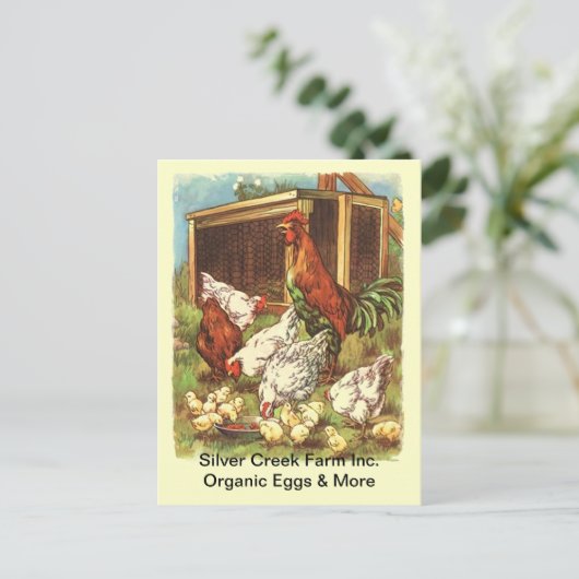 フリーオーガニックレンジ卵鶏市場はがき ポストカード (スタンド正面)