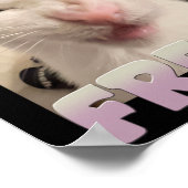 フリークキャット認定ミームおもしろいペットのユーモア ポスター (角)