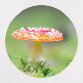 フリーゲンピルズ ラベル (デザイン2)