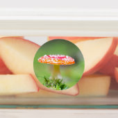 フリーゲンピルズ ラベル (貼付)