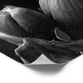 フリーシア ポスター (角)