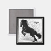 フリージアンのパワーマグネット2 マグネット (正面/裏面)