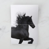 フリージアンの目の馬のグリーティングカード カード (内部)