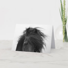 フリージアンの目の馬のグリーティングカード カード