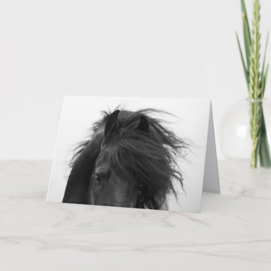 フリージアンの目の馬のグリーティングカード カード (正面)
