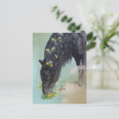 フリージアンホース - ポストカード (スタンド正面)