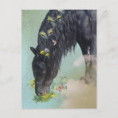 フリージアンホース - ポストカード (正面)