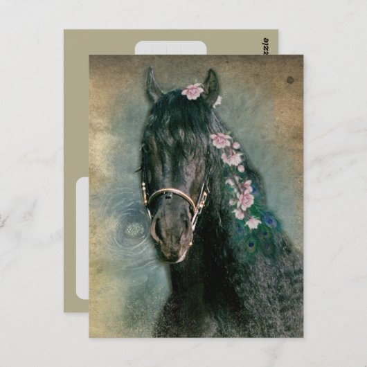 フリージアンホース - ポストカード (正面/裏面)