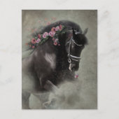 フリージアンホース - ポストカード (正面)