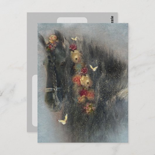 フリージアンホース - ポストカード (正面/裏面)