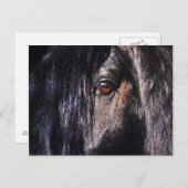 フリージョウマ目 ポストカード (正面/裏面)